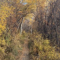 North Loop Trail - Trail
