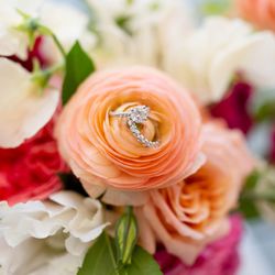 Rose and Bel Florals - wedding flowers