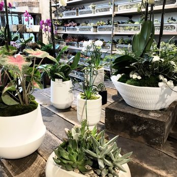 Rolling Greens - Home Decor Near Me - Los Angeles, California