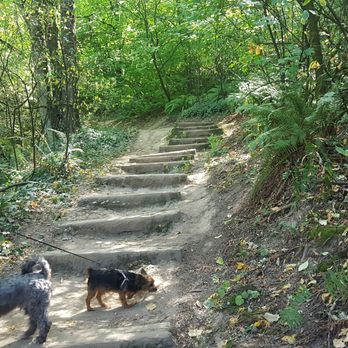 4T Trail - Hiking Near Me