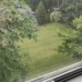 Lawn Barber