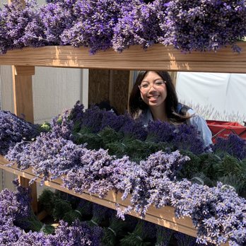 Neob Lavender - Farms Near Me - Niagara-on-the-Lake, Ontario