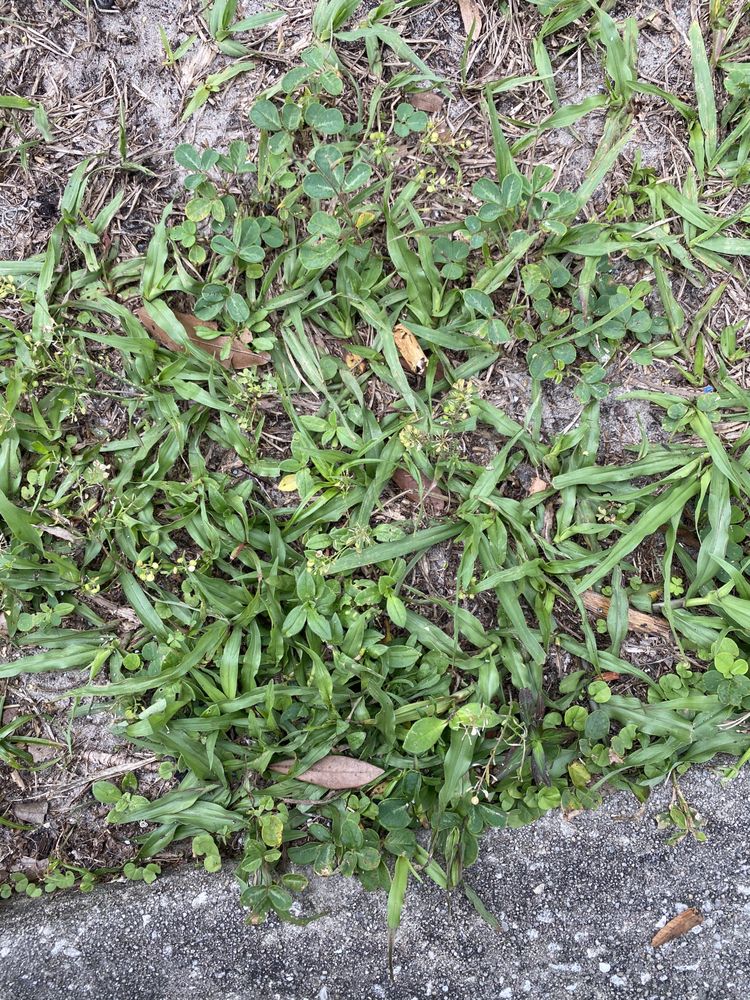 Slide of Alan's Roofing