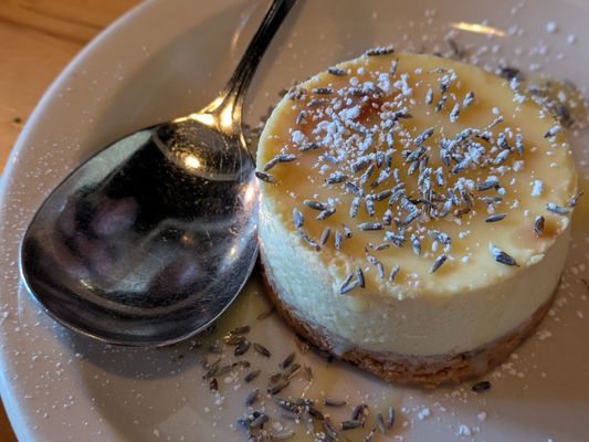 Black Bottle Gastrotavern by null