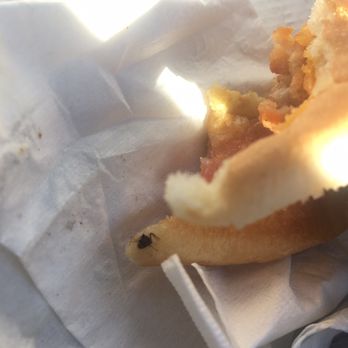 Chick-fil-A - cockroach in chicken sandwich - Fast Food Near Me - Sunnyvale, California Chick-fil-A - cockroach in chicken sandwich - Fast Food Near Me - Sunnyvale, California