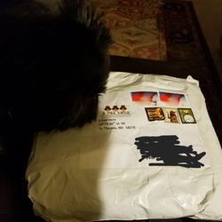 3 Red Hens - It has arrived!
