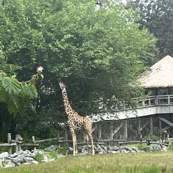 Virginia Zoo - Zoos Near Me - Norfolk, Virginia