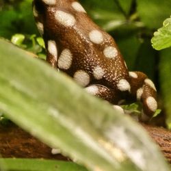 Tierpark Berlin