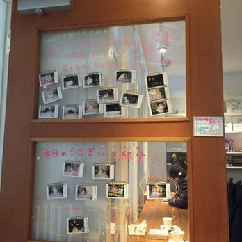 うさぎカフェおひさま - Updated July 2025 - 14 Photos - 北沢2