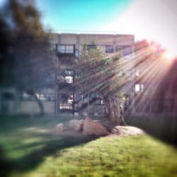 Universitat Politècnica de València UPV - Agrónomos...