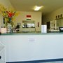 Photo of Devan Yates Pet Grooming