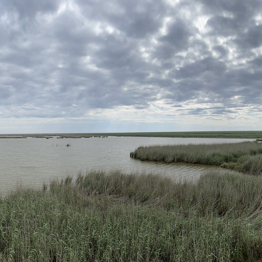 LDWF Rockefeller Wildlife Refuge - Parks Near Me - Grand Chenier, Louisiana