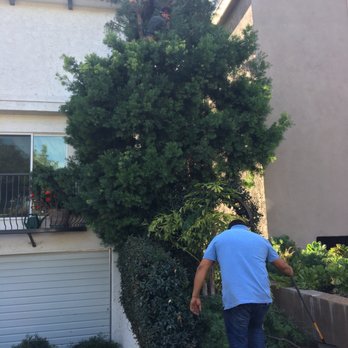 ER Landscape & Maintenance - Landscaping Near Me ER Landscape & Maintenance - Landscaping Near Me