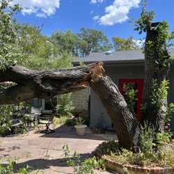 Falcon Tree Experts - Broken tree destroying patio