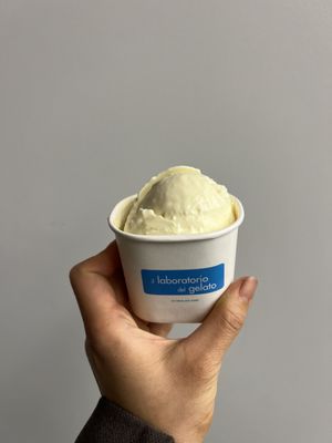 il laboratorio del gelato by null