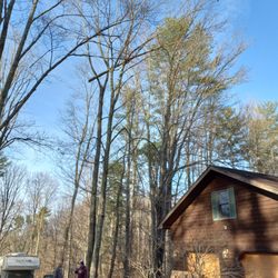 Wyrick Tree Service