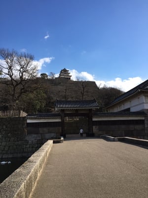 Marugame Castle by null