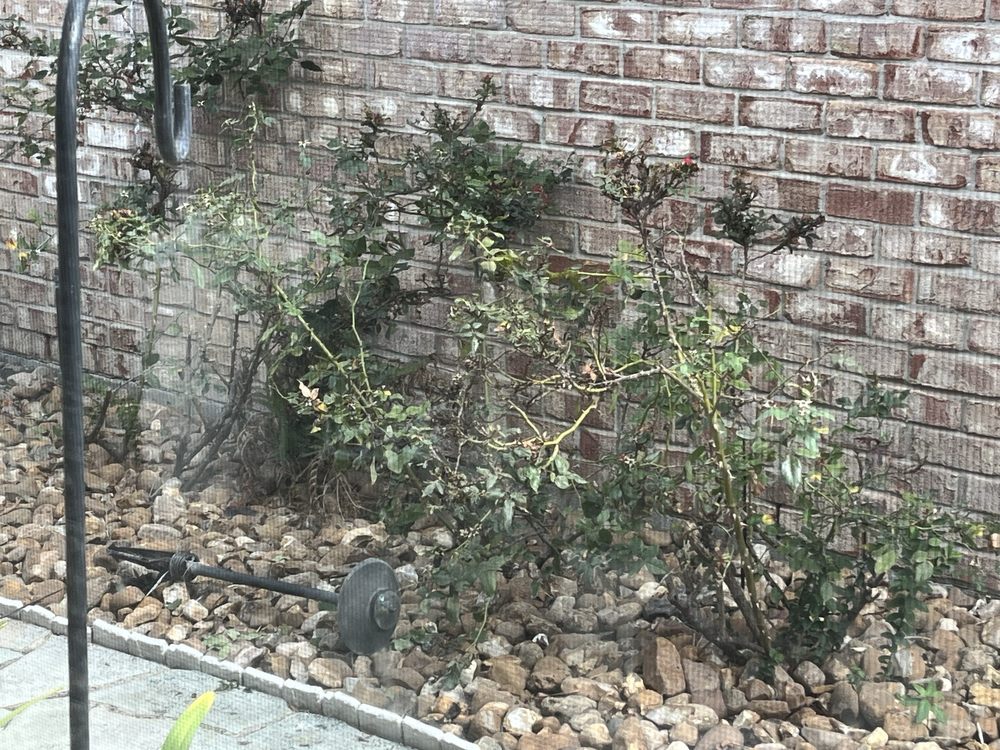 Slide of American Quality Roofers