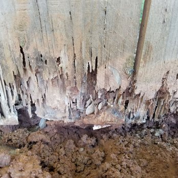 Premier Fence - Fences & Gates Near Me - Murfreesboro, Tennessee