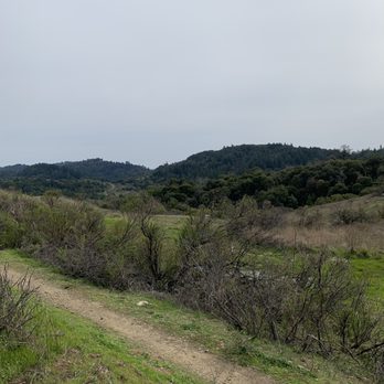 Monte Bello Open Space Preserve - Hiking Near Me - Palo Alto, California Monte Bello Open Space Preserve - Hiking Near Me - Palo Alto, California