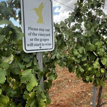 Autumn Sage Vineyards - Wine Tasting Room Near Me - Elgin, Arizona