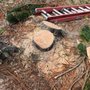 Photo of Blaisdell's Removal