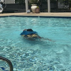 American River Home Care - I am in the pool swimming as a result of the hard work of the American River home care staff.
