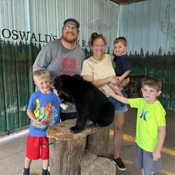 Oswald's Bear Ranch - Zoos Near Me - Newberry, Michigan