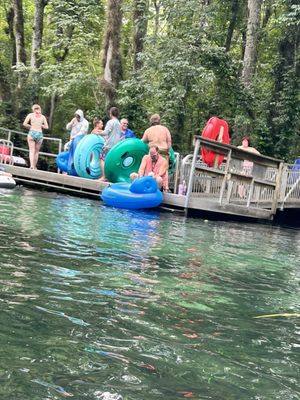 Ichetucknee Springs State Park by null