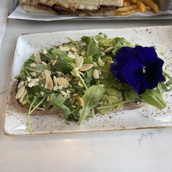 Toasted Gastrobrunch - Free avocado toast with Yelp check in YUM! - Breakfast & Brunch Near Me - Oceanside, California Toasted Gastrobrunch - Free avocado toast with Yelp check in YUM! - Breakfast & Brunch Near Me - Oceanside, California