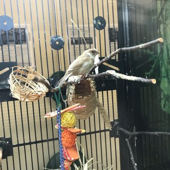 PetSmart - Pet Training Near Me - Davenport, Florida PetSmart - Pet Training Near Me - Davenport, Florida