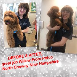 Petco - Willow and our baby Suki , GREAT EXPERIENCE