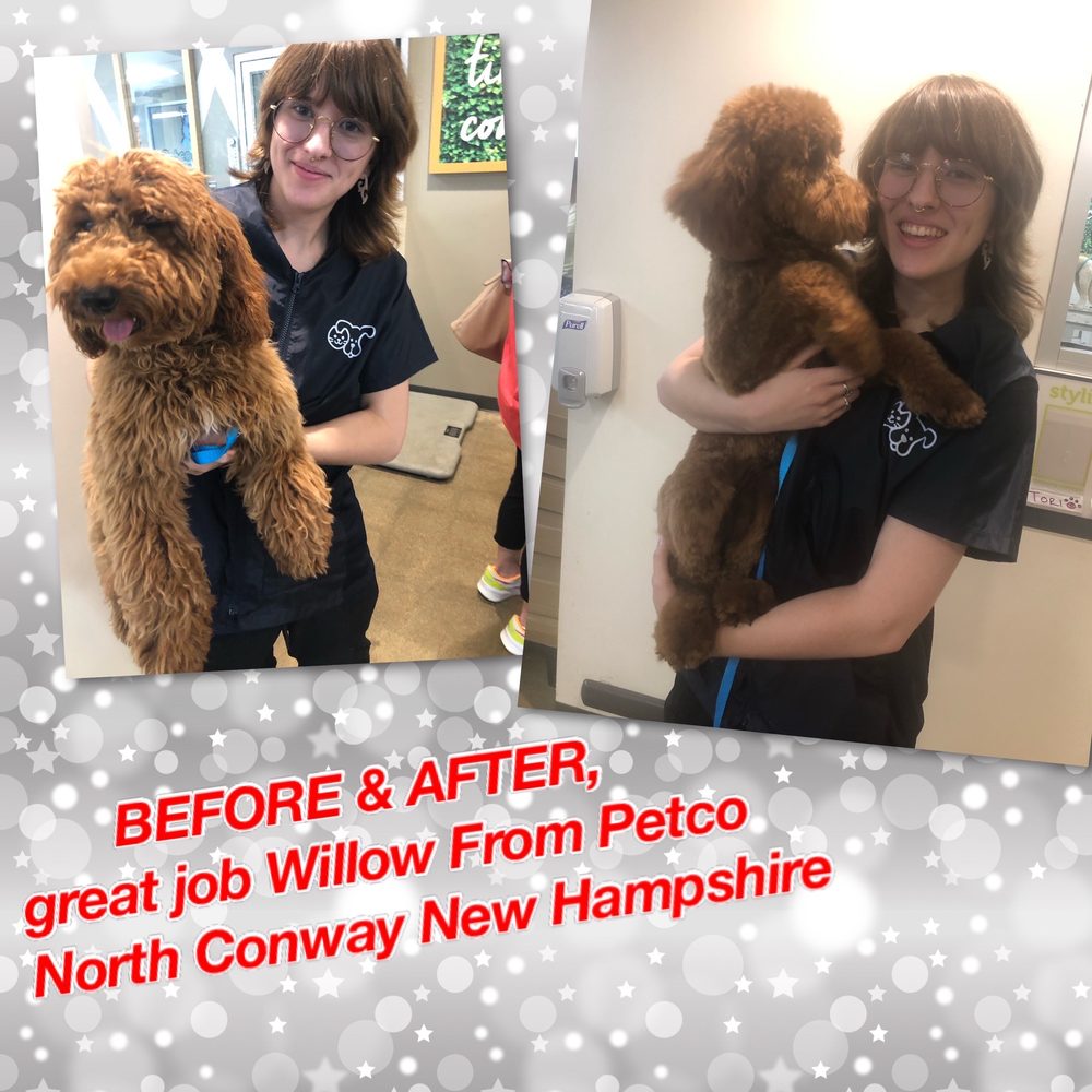 PETCO 1584 White Mountain Hwy, North Conway, New Hampshire Pet