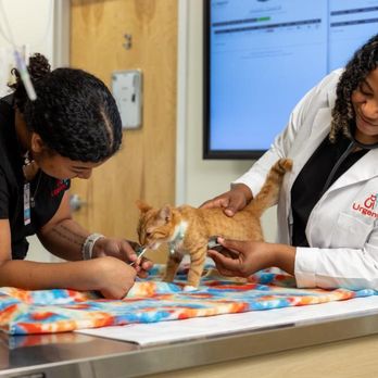 UrgentVet - West Plano - Veterinarians Near Me - Plano, Texas UrgentVet - West Plano - Veterinarians Near Me - Plano, Texas