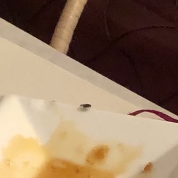 Mint Leaf Cuisine - Fly - Asian Fusion Near Me - Saratoga, California Mint Leaf Cuisine - Fly - Asian Fusion Near Me - Saratoga, California