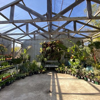 Dig Gardens - Nurseries & Gardening Near Me - Santa Cruz, California Dig Gardens - Nurseries & Gardening Near Me - Santa Cruz, California