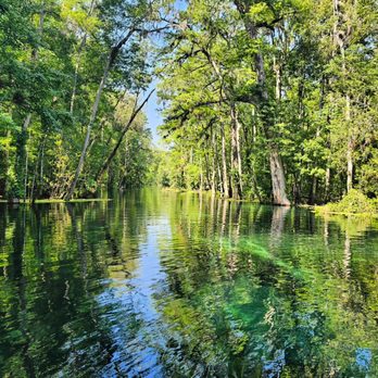Ichetucknee Springs State Park - Parks Near Me - Fort White, Florida Ichetucknee Springs State Park - Parks Near Me - Fort White, Florida
