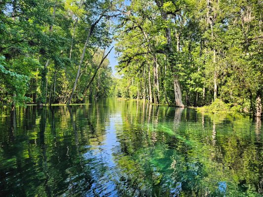 Ichetucknee Springs State Park by null