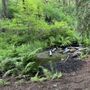Photo of Ravenna Ravine