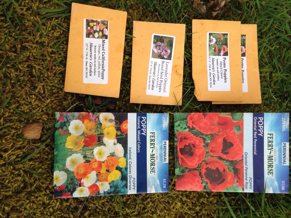 MAURRIES GARDEN Updated August 2024 517 N 17th St, Elma, Washington Nurseries & Gardening