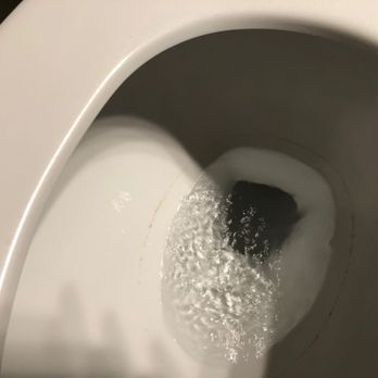 Family Owners Cleaning - Ring around toilet bowl - Home Cleaning Near Me