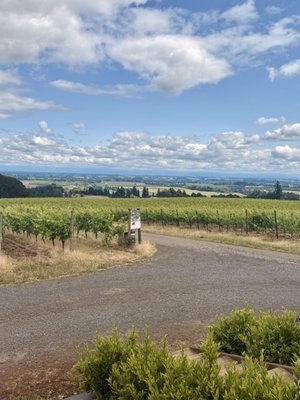 Durant Vineyards Tasting Room by null