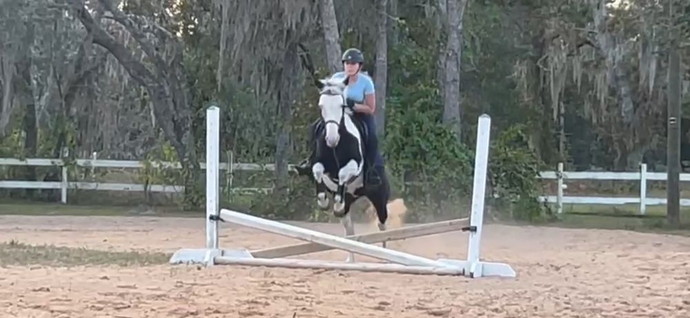 Crosspoint Equestrian - equestrian in Hudson, FL