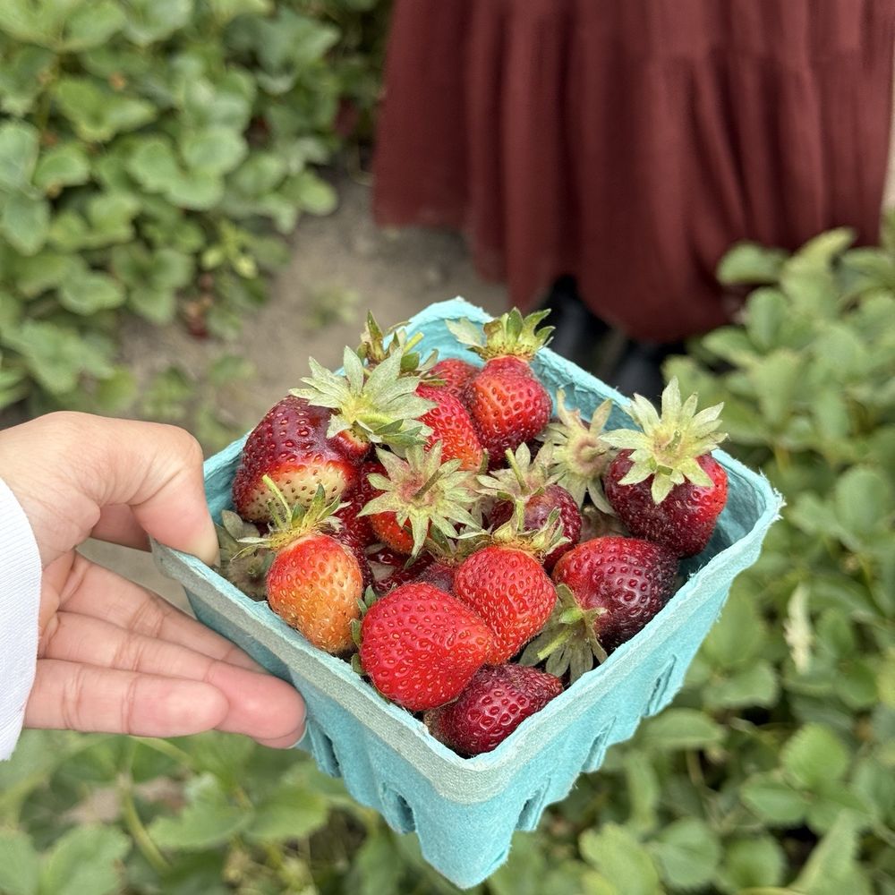 TOP 10 BEST Apple Orchard near Roosevelt, Seattle, WA - Updated