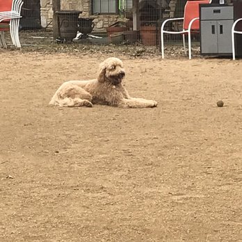 Doghouse Drinkery Dog Park - Dog Parks Near Me - Leander, Texas Doghouse Drinkery Dog Park - Dog Parks Near Me - Leander, Texas