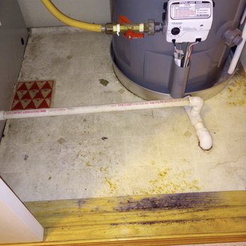 Mountain-n-Plains - mold upon discovery/ wet floor even after mopping - Property Management Near Me - Fort Collins, Colorado Mountain-n-Plains - mold upon discovery/ wet floor even after mopping - Property Management Near Me - Fort Collins, Colorado