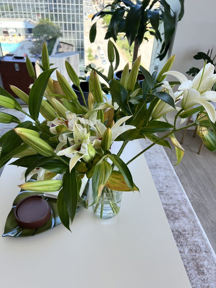 Sieck Claymore C Flrst