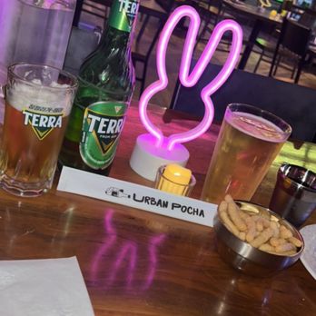 Urban Pocha - Cute neon lamps at each table - Korean Near Me - Pasadena, California