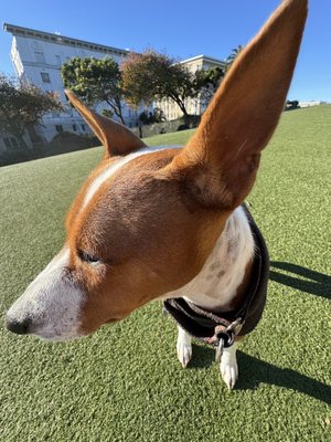 Lafayette Park by null