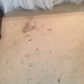 Texas Best Carpet Care - Before - Carpet Cleaning Near Me Texas Best Carpet Care - Before - Carpet Cleaning Near Me